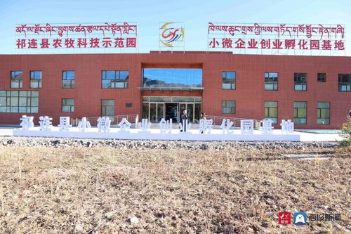 祁連山下的山東擔(dān)當(dāng) 濱州市援青干部人才工作紀(jì)實(shí)