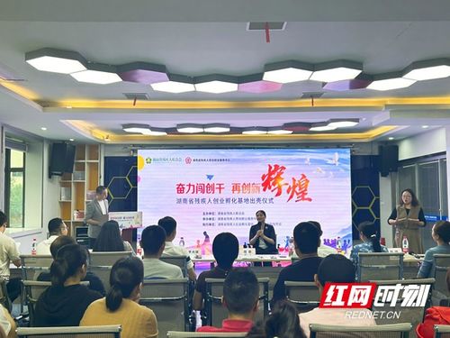 孵化入駐企業(yè)70家 帶動1317人就業(yè) 湖南省殘疾人創(chuàng)業(yè)孵化基地舉辦納新項目大比拼活動
