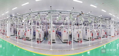 2021年濱州市發展改革工作交出亮眼答卷