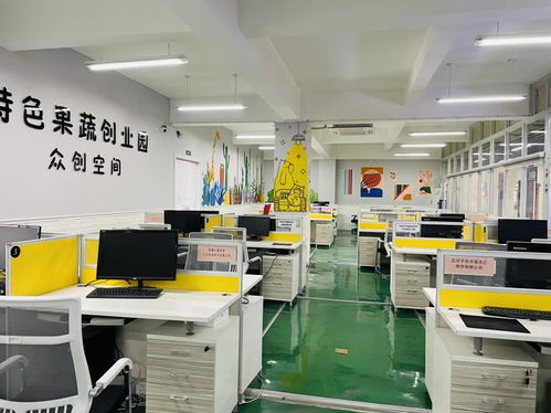 石河子 創(chuàng)業(yè)孵化基地 孵 出新天地